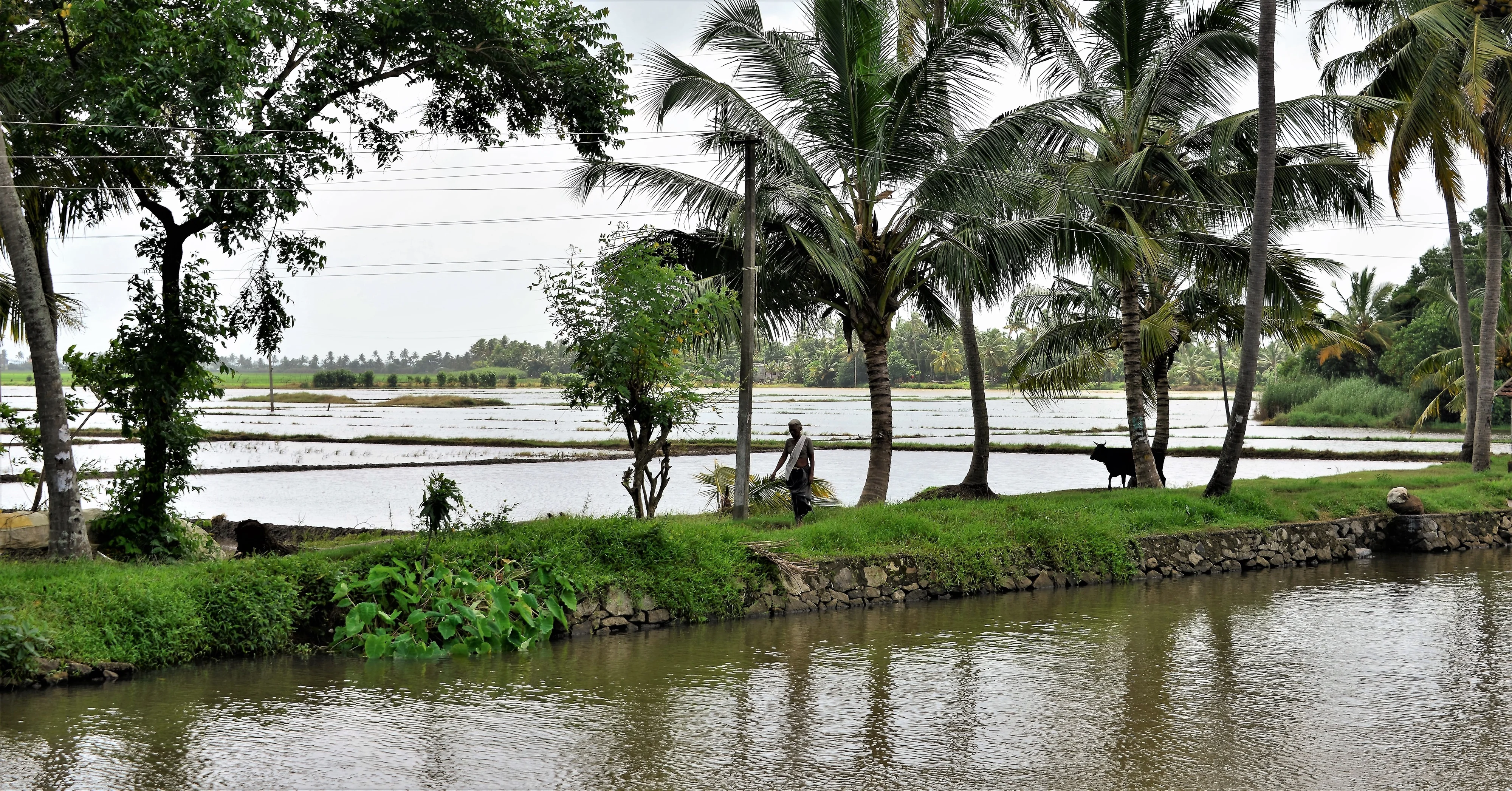 Backwaters Kerala